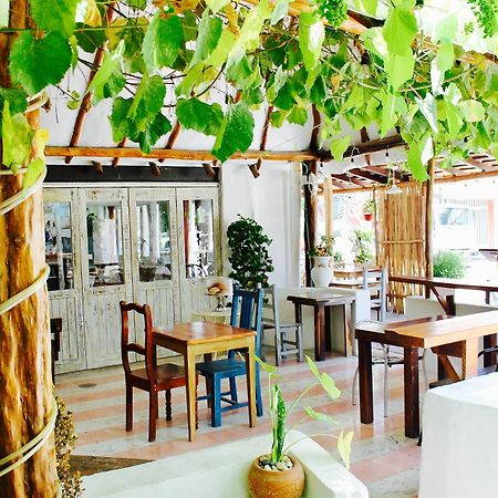 Posada Amor Hotel Boutique Puerto Morelos Eksteriør billede