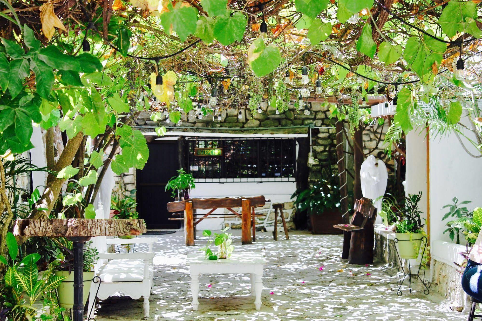Posada Amor Hotel Boutique Puerto Morelos Eksteriør billede