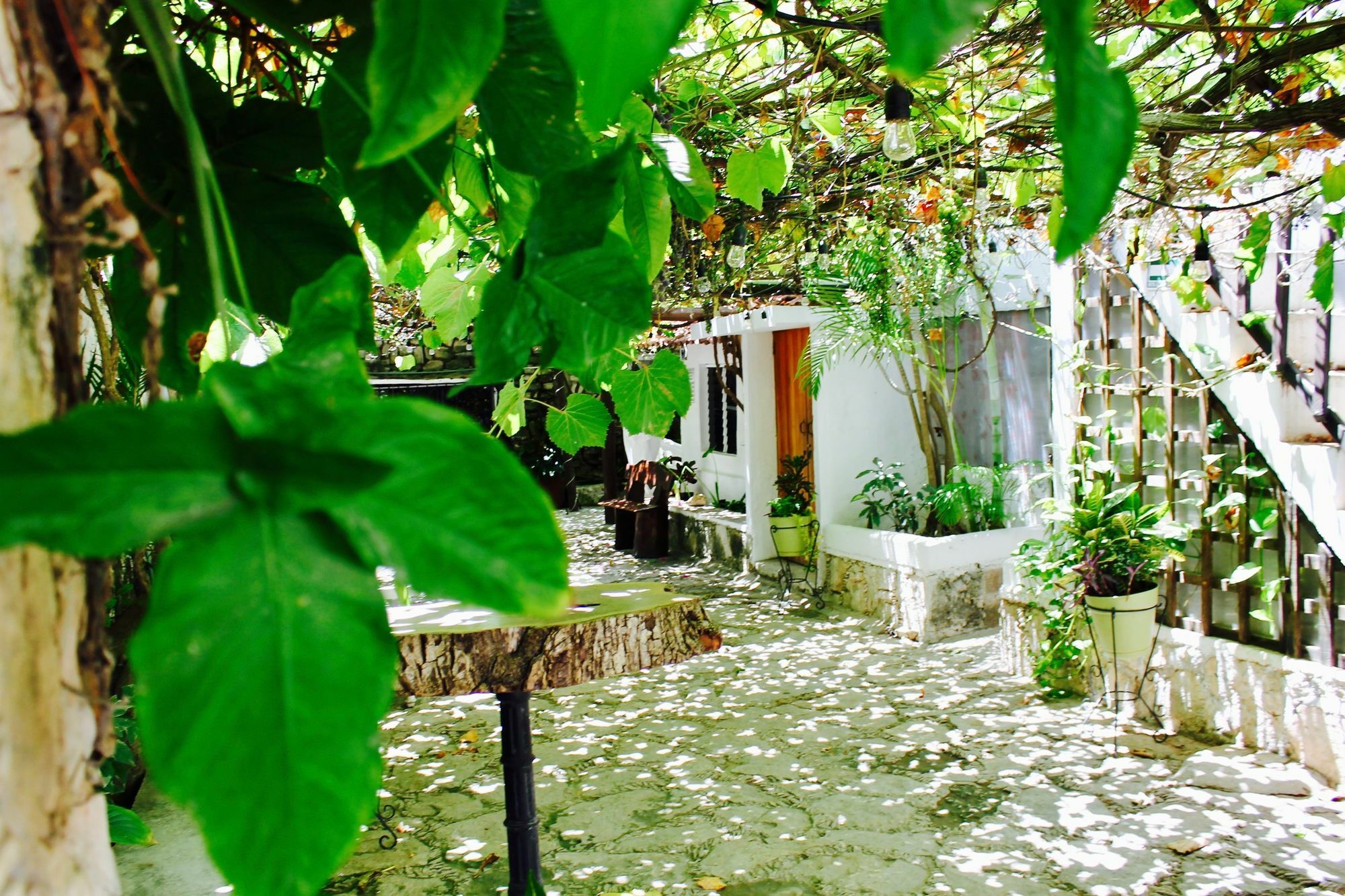 Posada Amor Hotel Boutique Puerto Morelos Eksteriør billede
