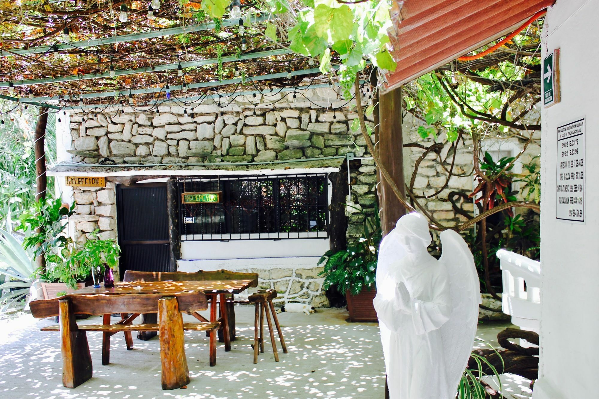 Posada Amor Hotel Boutique Puerto Morelos Eksteriør billede