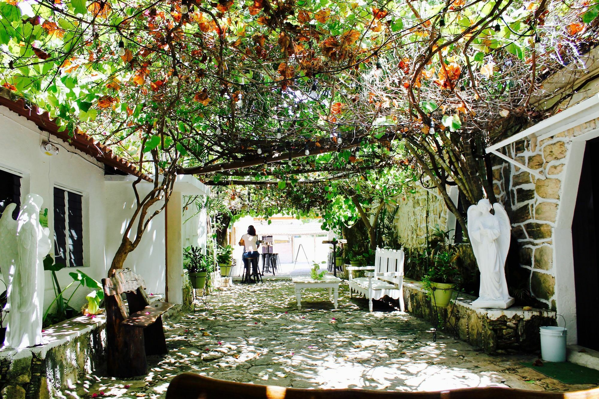 Posada Amor Hotel Boutique Puerto Morelos Eksteriør billede